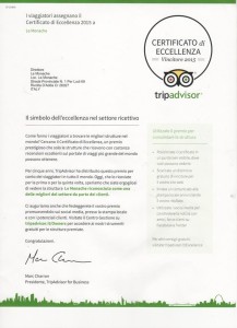 Certificato d'eccellenza pagina 2